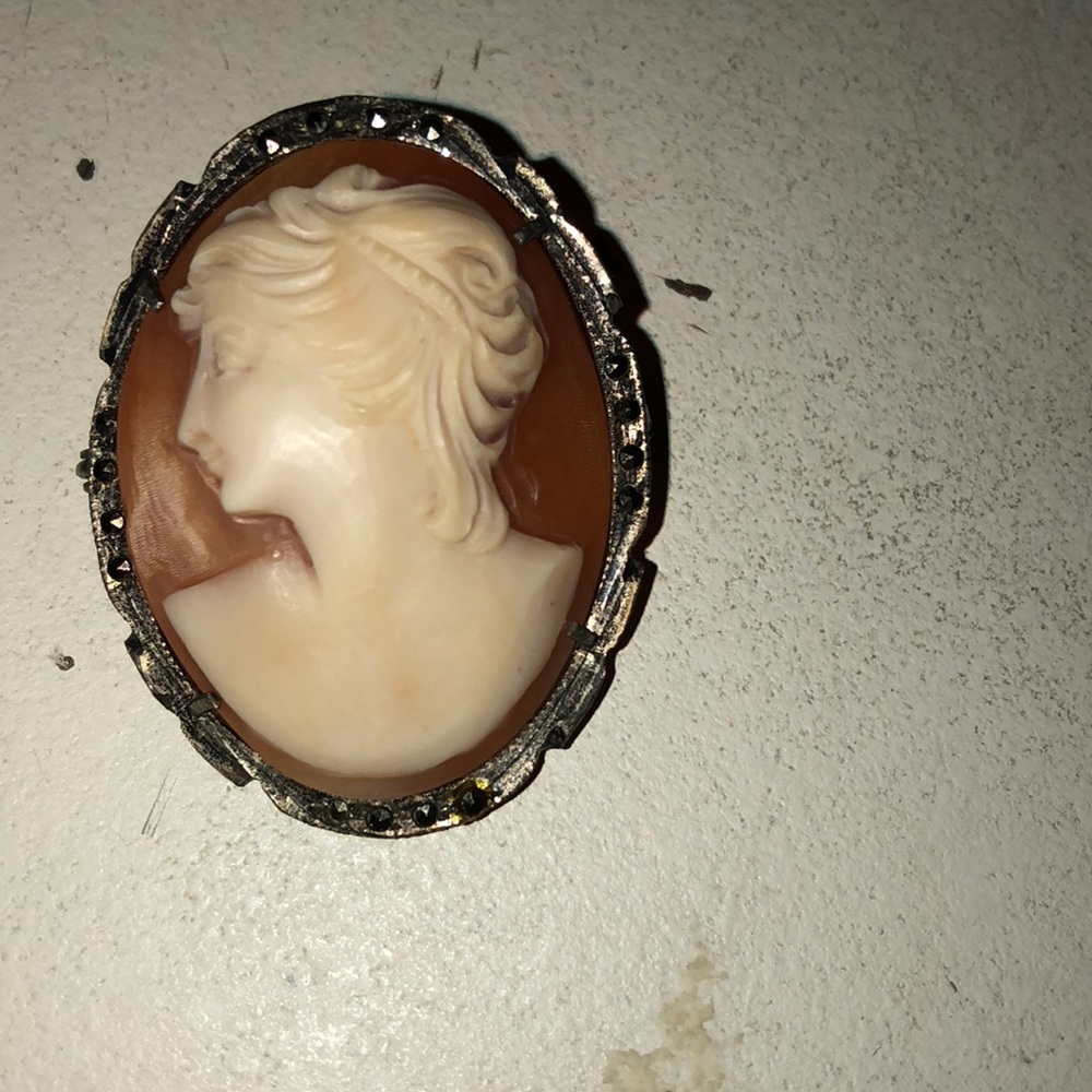 Cameo carved shell pendant and pin